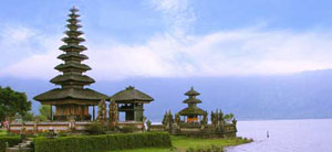 Sandi Bali Tour Driver