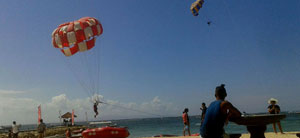 Sandi Bali Tour Driver